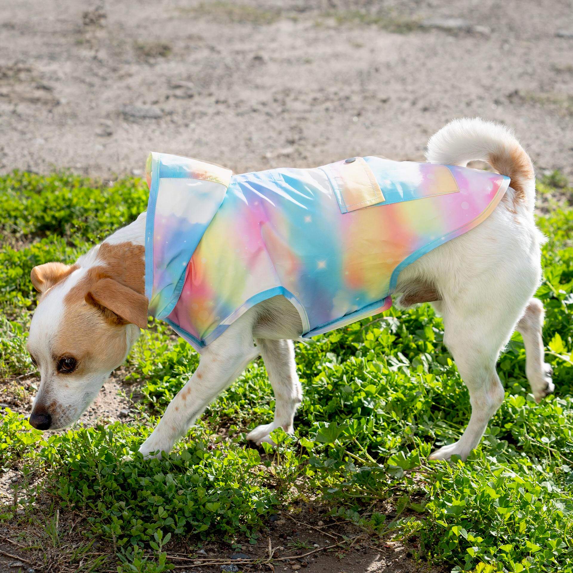 Product image 42
