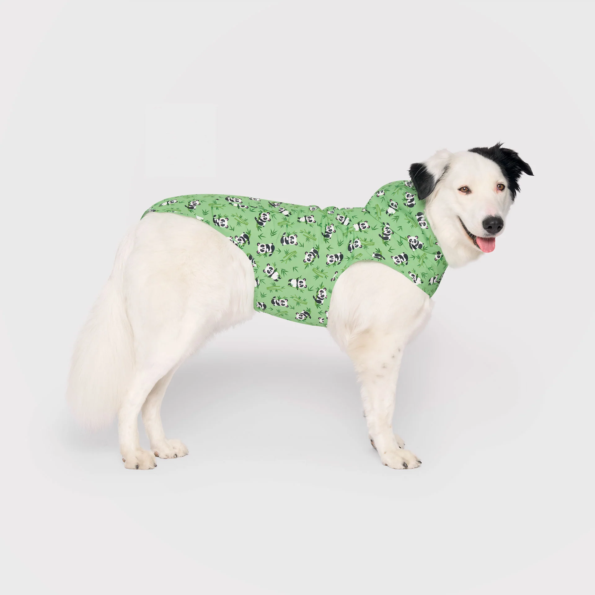 Product image 48