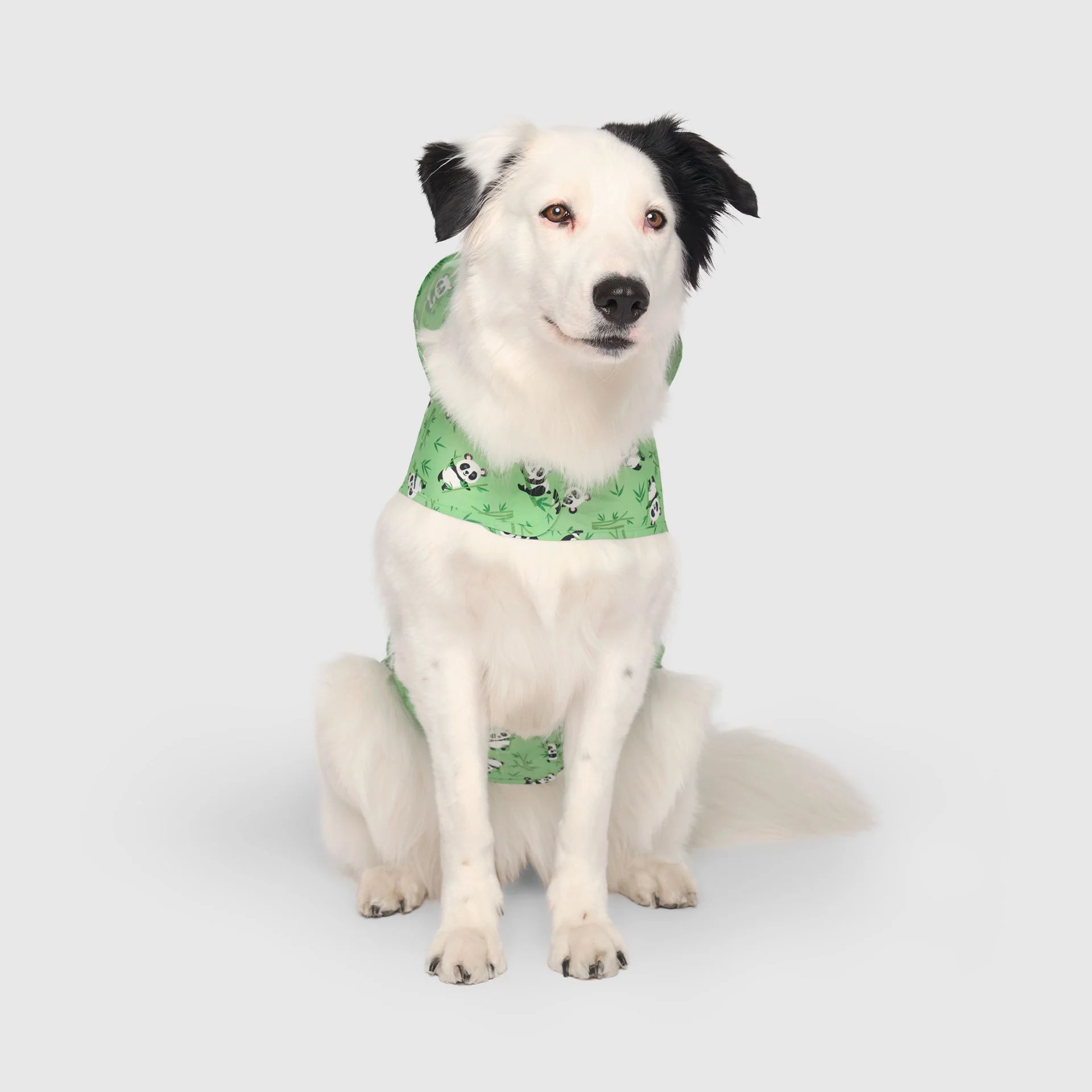 Product image 49