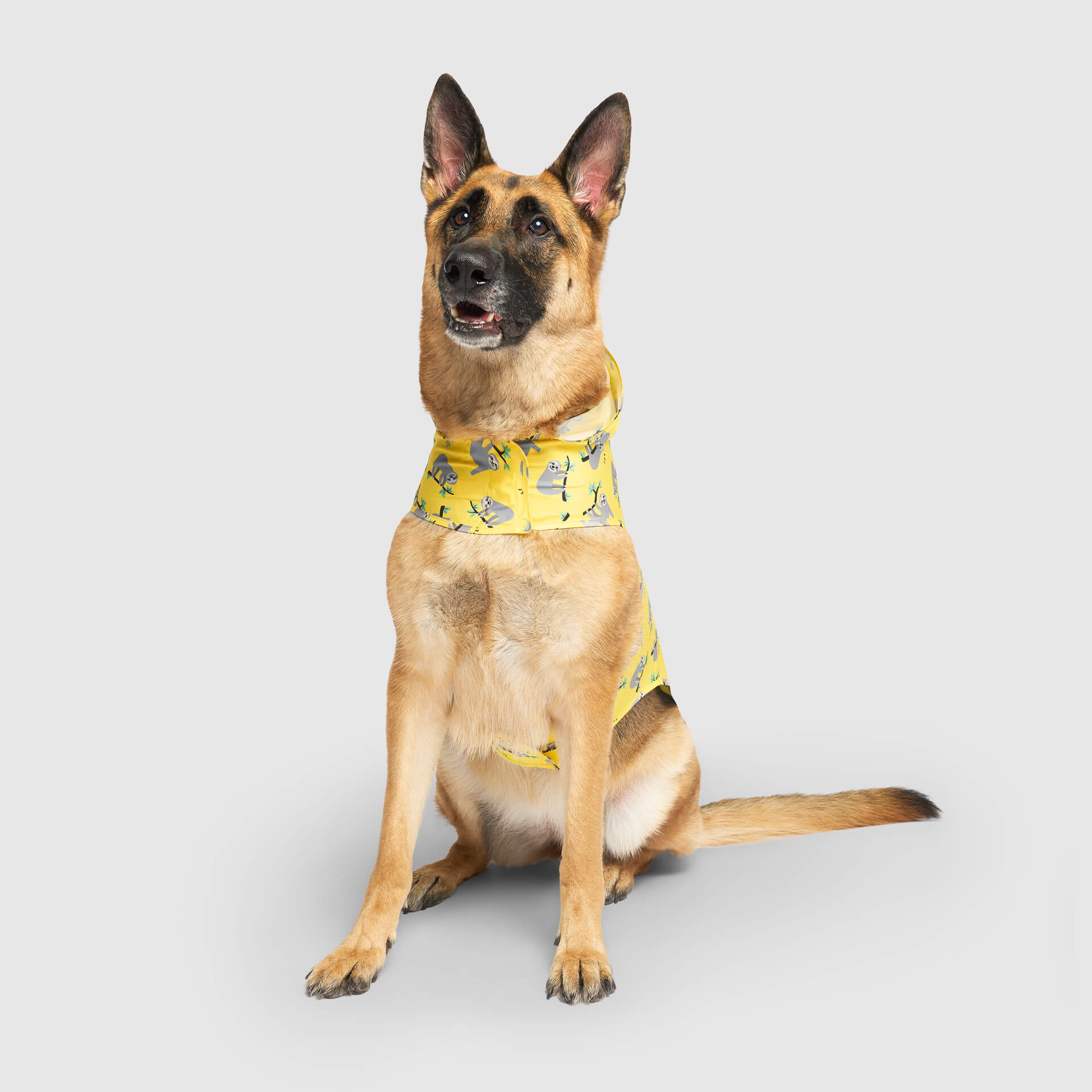 Product image 29