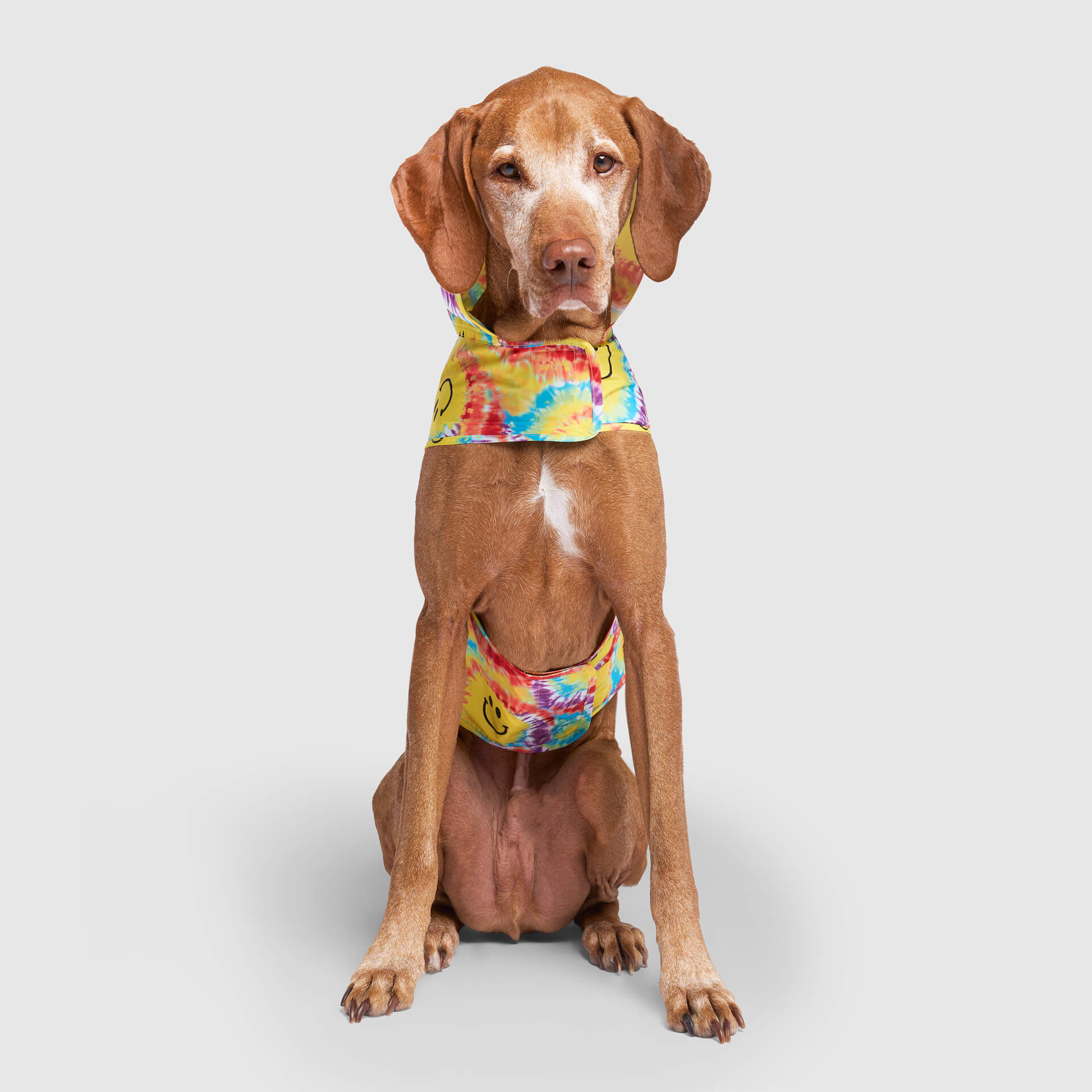 Product image 34