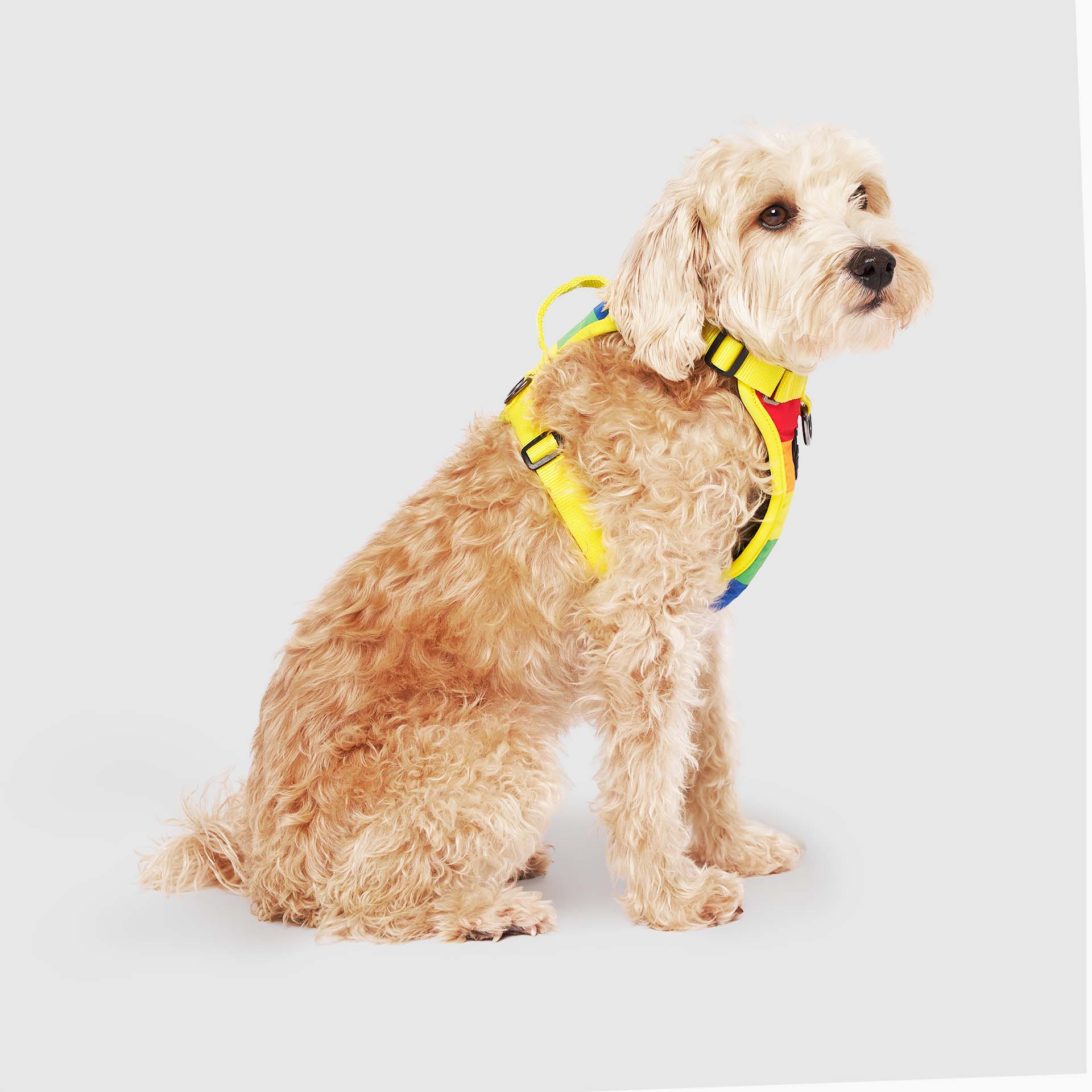 Product image 34
