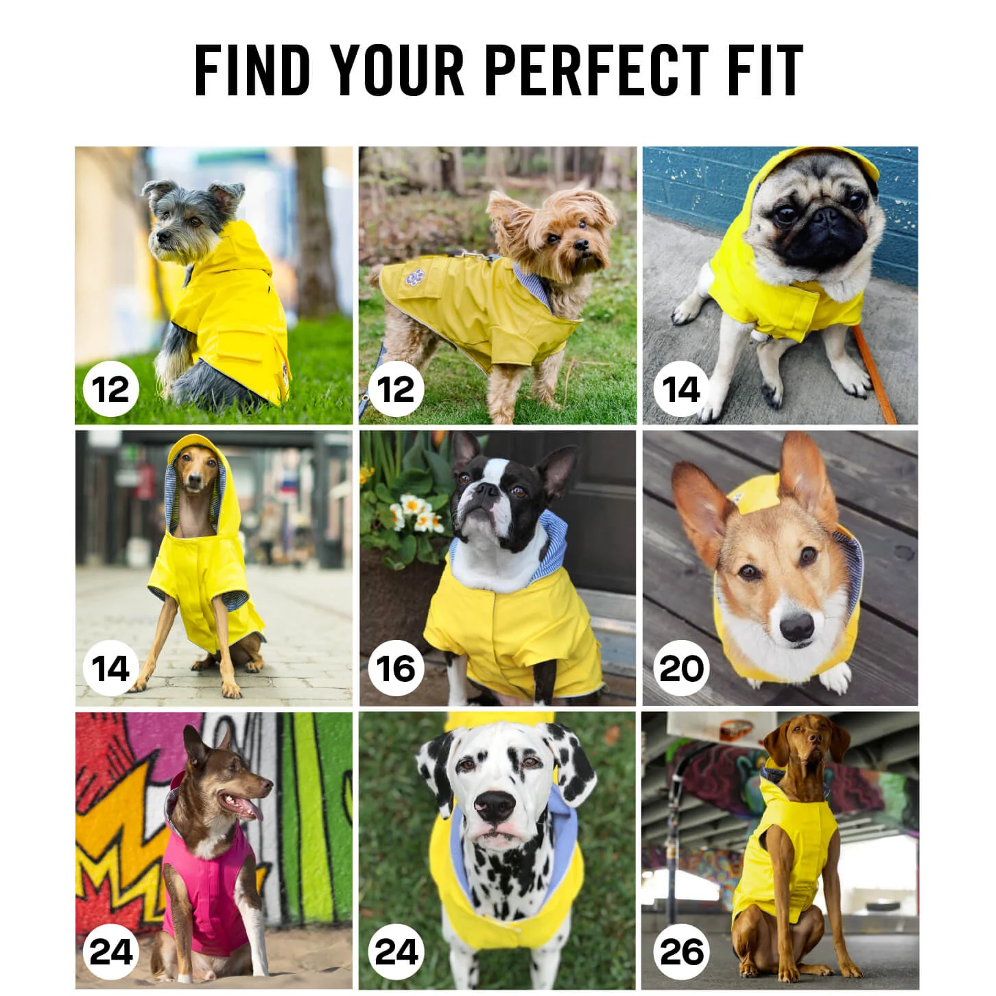 Product image 21